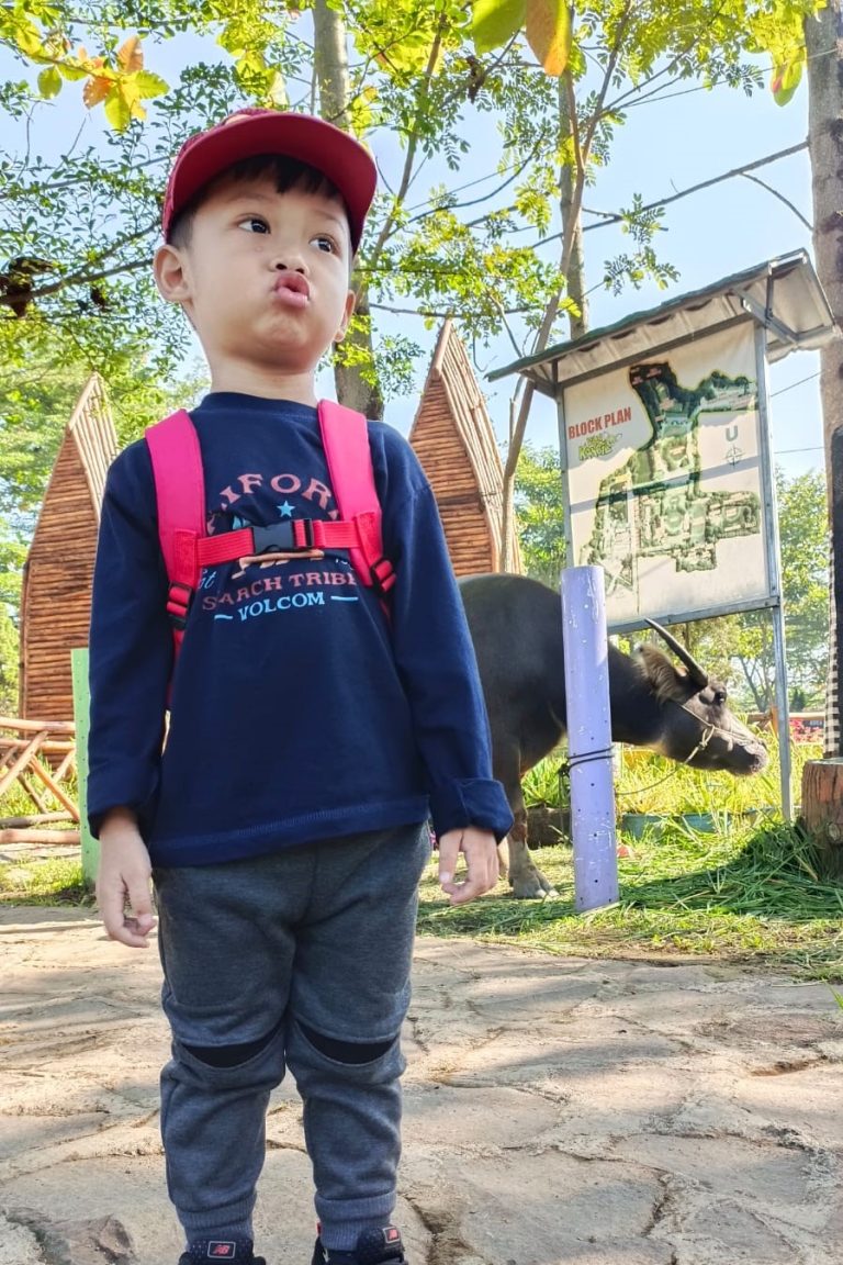 WhatsApp Image 2024-10-13 at 14.00.47_0484a274