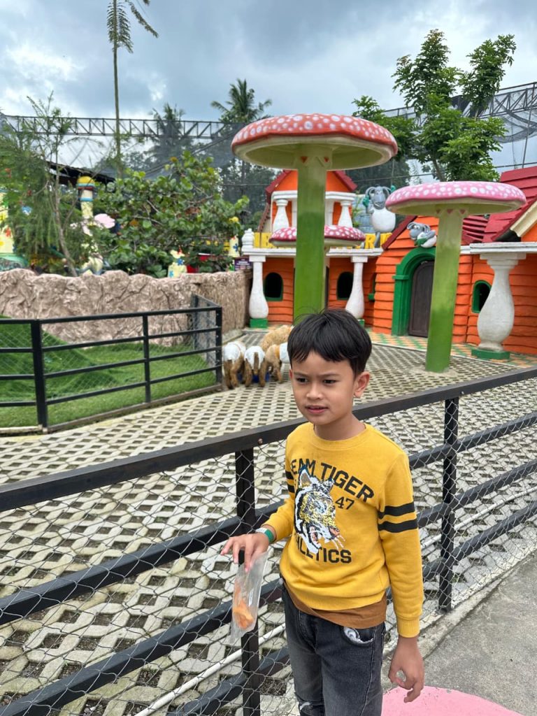 47f35242-339c-4f8a-bf31-a78b706daa70