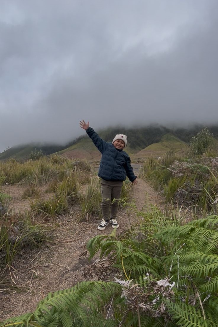 ed8210d3-3163-4133-95e0-fcebe4d4b995