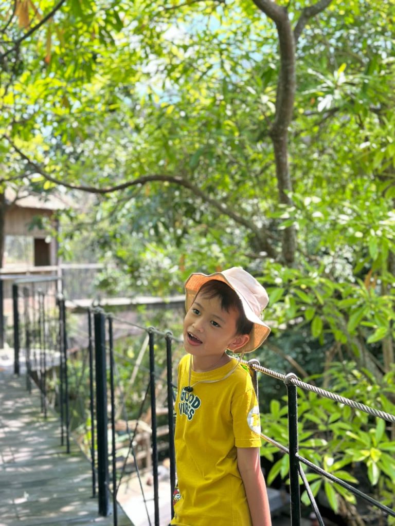 fc53fbd3-a30c-4dd8-95e7-478d2416f7ed