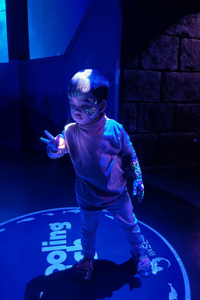 5e5ba602-abba-42ed-9a2c-6f4310c0d2e1