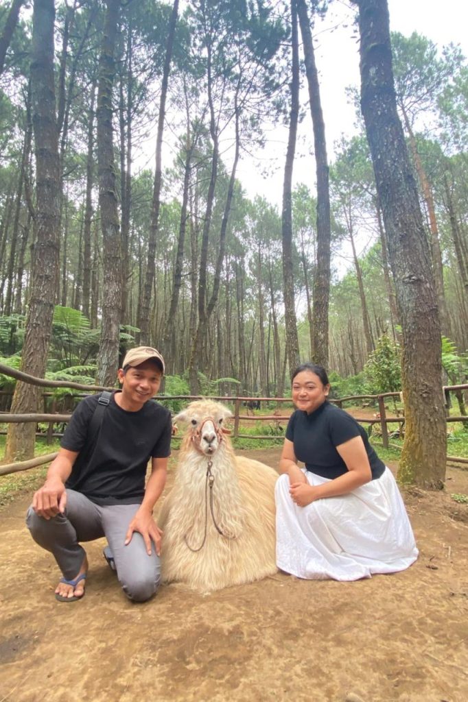 936b9675-9b45-40cc-8c1a-d0bfa041446e